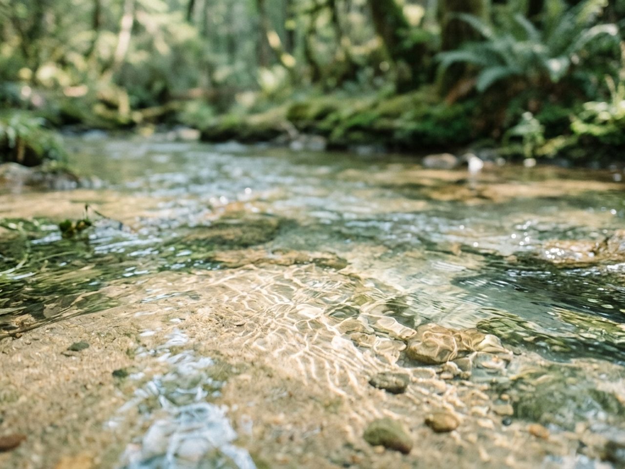 Aqua Cremation Australia Explained